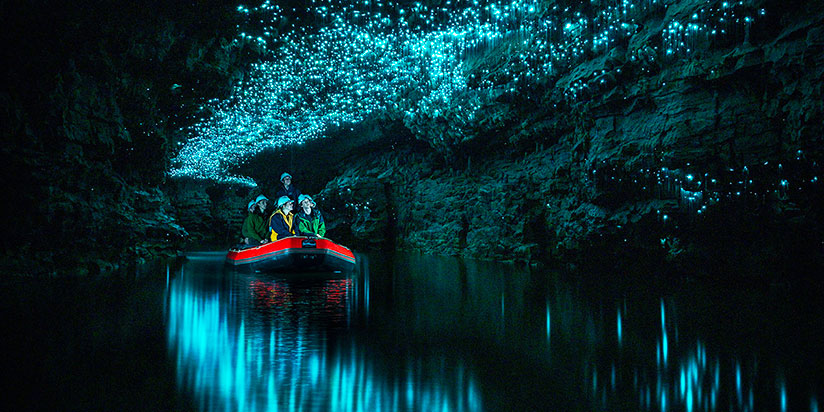 ft blog exploring waitomo glowworm caves